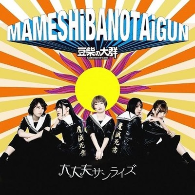 A large group of Mameshiba Okay Sunrise Tower Records Limited