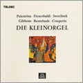 Albert de Clerck A valuable collection of works for small organs Palestrina Fres