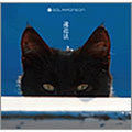Sora Iron Neon Perspective (Tower Records limited edition)