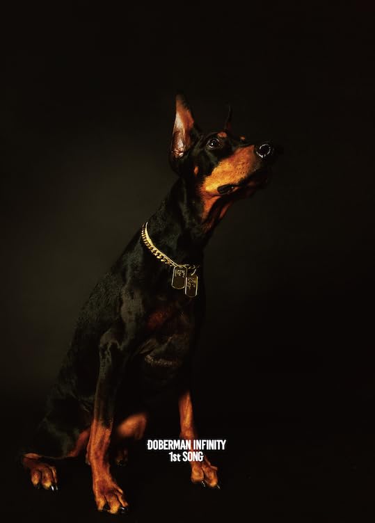 1st SONG CD+DVD ver Limited Edition by DOBERMAN INFINITY NEW