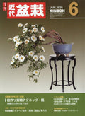 Japanese Bonsai Magazine / KINBON 2026.04.05.06 / Kindai Bonsai NEW