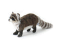 Raccoon No5238 NEW