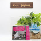 CFCF-MEMORYLAND-JAPAN CD BONUS TRACK From Japan NEW