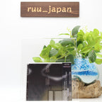 [CD] Mushishi Sound Track Mushinone Ketsu From Japan NEW