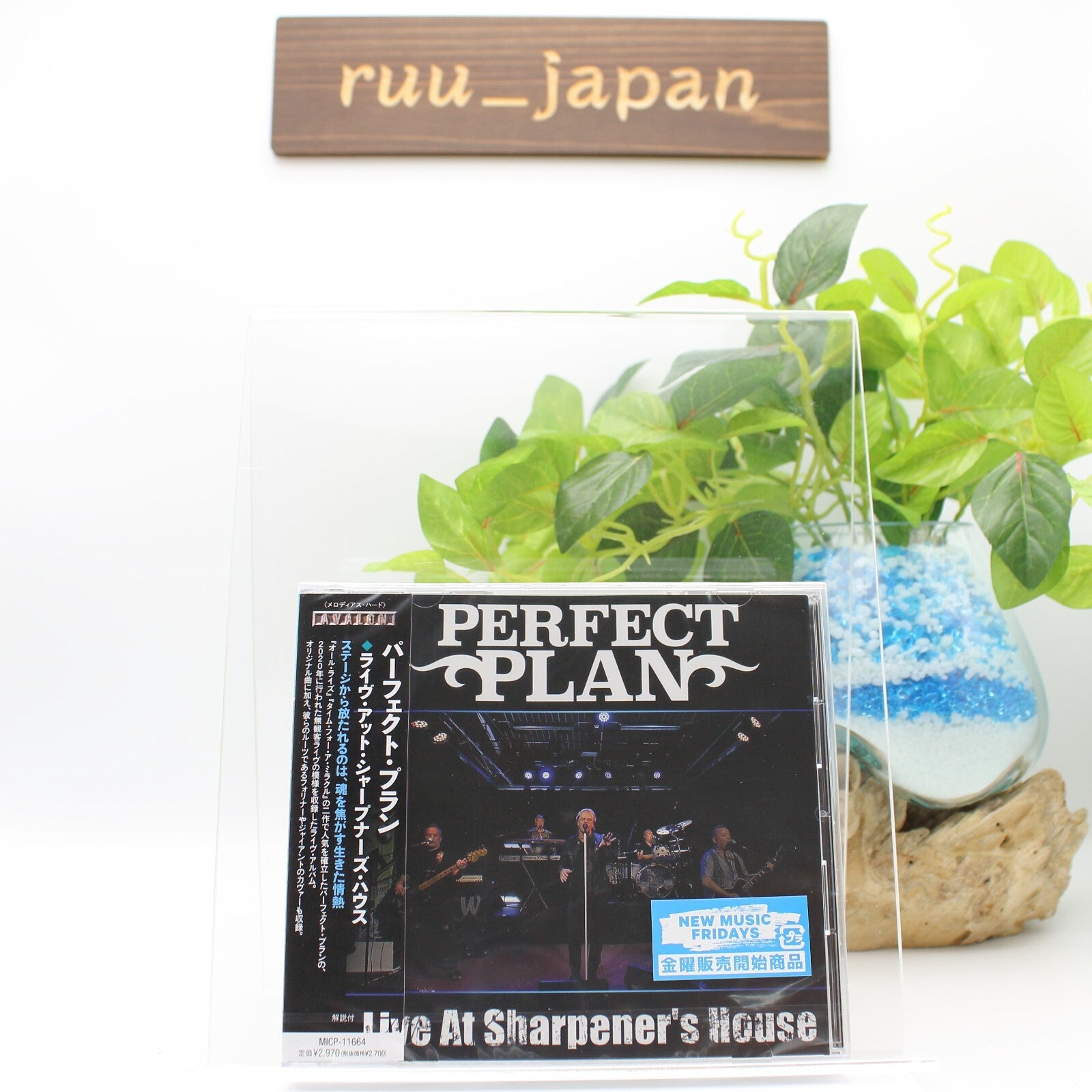 New 2021 PERFECT PLAN Live At The Sharpeners House JAPAN CD