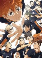 New Haikyu The Dumpster Battle Deluxe Edition 2 DVD Booklet Japan English