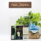 Red Hot Chili Peppers CD(SHMCD) The Uplift Mofo Party Plan Japan OBI New