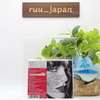 TAYLOR SWIFT-REPUTATION-JAPAN ONLY CD+DVD Ltd/Ed New
