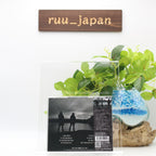 DIMMU BORGIR Inspiratio Profanus Old Mans Child Nocturnal Breed Ulver JAPAN CD