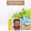 Jimmy Bo Horne Goin Home For Love Japan Music CD New