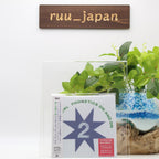 New Horsegirl Phonetics On and On Japan Edition w Bonus Track CD