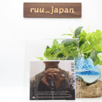 JYJ - The... ［CD+DVD］ New