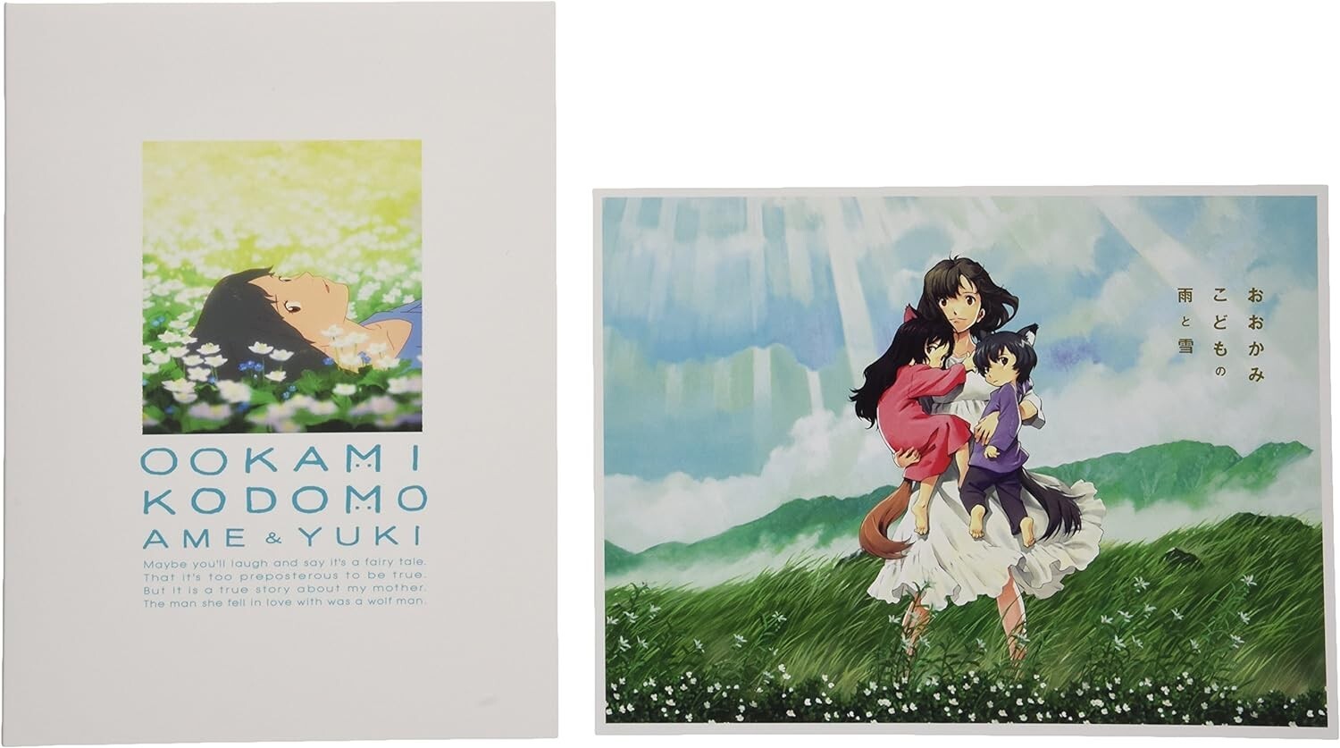 Wolf Children Ame and Yuki Ookami Kodomo no Ame to Yuki DVD Region 2 From Japan