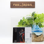 JEFF BECK BLOW BY BLOW JAPAN BLU-SPEC CD From Japan NEW