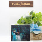 New SawanoHiroyuki[nZk] V First Limited Edition CD Blu-ray