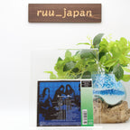 Shocking Blue 2CD Platinum Best Japan OBI New