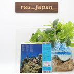 New JOSE CHEPITO AREAS-S/T-JAPAN Paper Sleeve BLU-SPEC CD2 Ltd/Ed