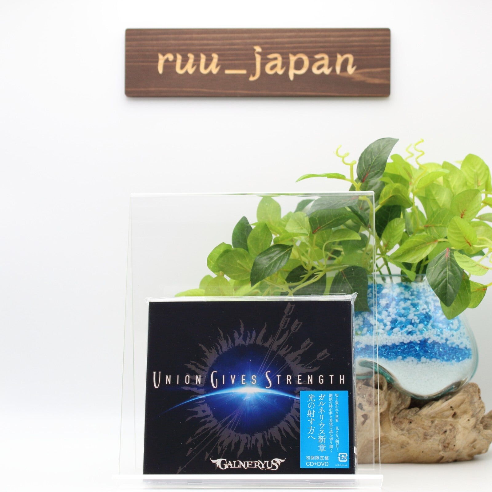 Galneryus UNION GIVES STRENGTH CD+DVD Japan Music CD NEW