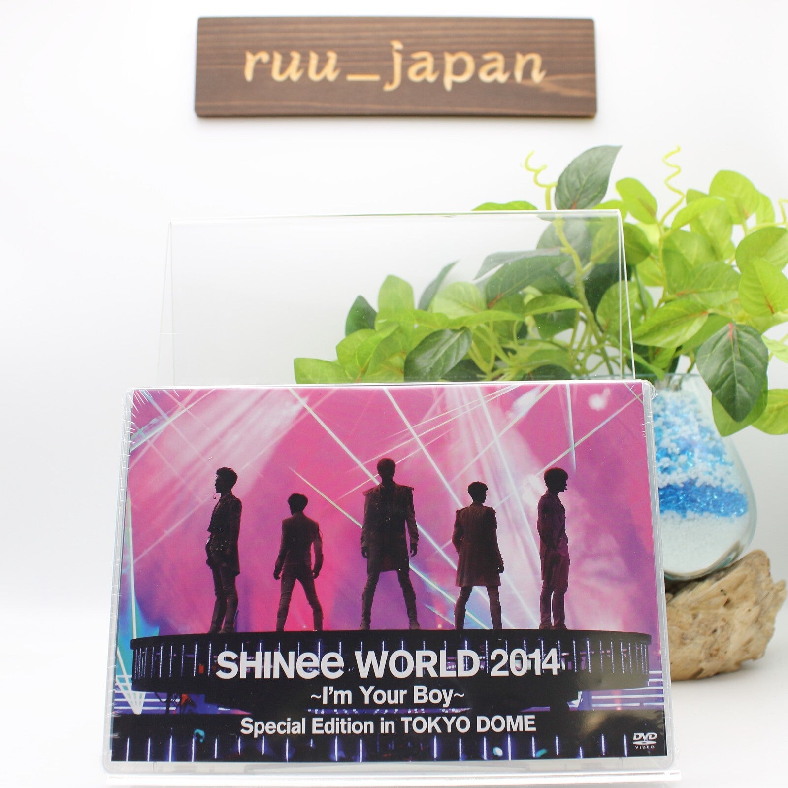 SHINee WORLD 2014 Im Your Boy Special Edition in TOKYO DOME DVD JAPAN NEW