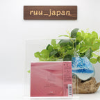 Koda Kumi UNICORN Limited Edition CD DVD Japan RZCD-77973 NEW