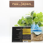 New WIZ KHALIFA-ROLLING PAPERS 2-JAPAN CD BONUS TRACK