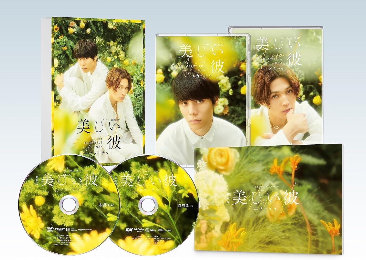 My Beautiful Man: Eternal The Movie Deluxe DVD Utsukushii Kare Eng Sub NEW