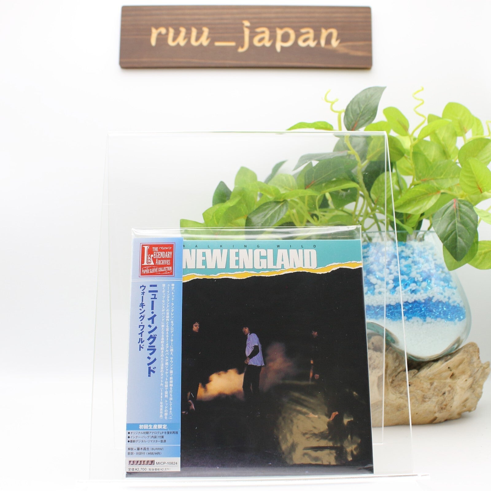 NEW ENGLAND Walking Wild JAPAN CD Kiss Alcatrazz Todd Rundgren U.S. Rock New