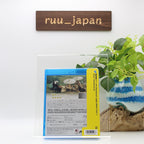 Emma Blu-ray From Japan NEW