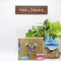 COLDPLAY-LIVE IN BUENOS AIRES/ LIVE IN SAO PAULO/ HEAD...-JAPAN 2 CD+2 DVD New