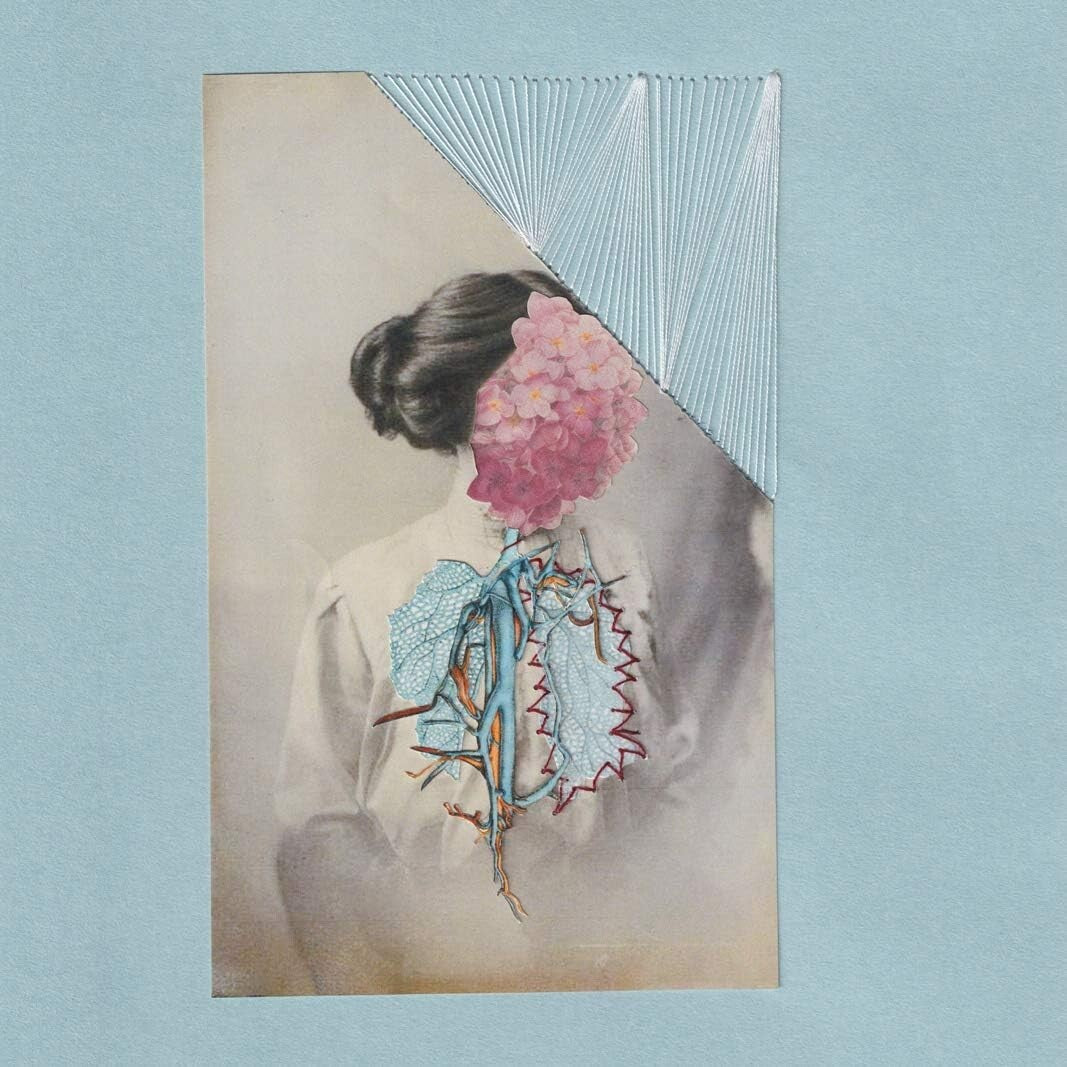 New CD Suture Layer Japan Ohzora Kimishima Music (1 CD) APLS-2010 Album