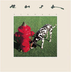 RUSH SIGNALS 40TH ANNIVERSARY REMASTERING 2023 JAPAN SHM CD new