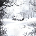New WEEZER SZNZ WINTER 2023 JAPAN CD