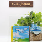 MASAYOSHI TAKANAKA-UKULELE. SEYCHELLES-JAPAN CD NEW