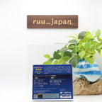 Michelangeli Ravel Rachmaninov Piano Concertos 2 SACD Hybrid JAPAN TOWER RECORDS