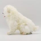 Samoyed Ken No.5267 NEW