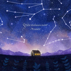 New Aimer - The Night the Stars Disappeared [Regular Edition] [CD]