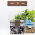 New Band-Maid - New Beginning CD + Bonus DVD JAPAN