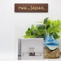 Weezer (White Album) Deluxe Edition New
