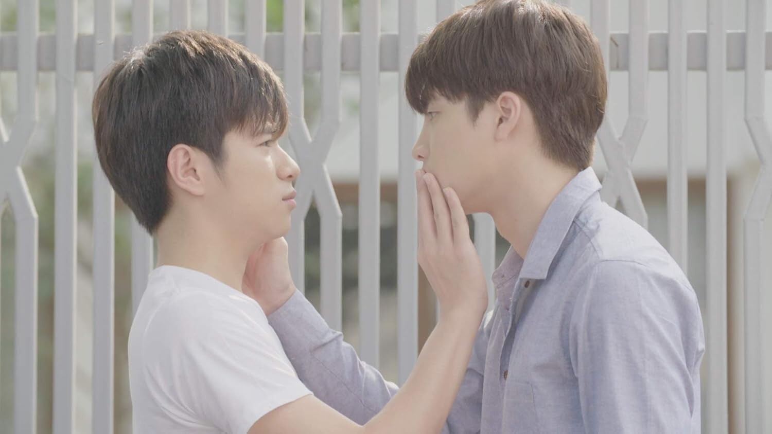 New Love by Chance DVD-BOX Standard Edition Thai BL Drama Series