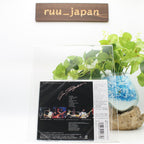 Izumi Kobayashi & Flying Mimi Band/Sea Flight 1978 CD Japan City Pop Jazz New