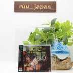 New XTC LIVE IN BRUSSELLS 1982 JAPAN CD