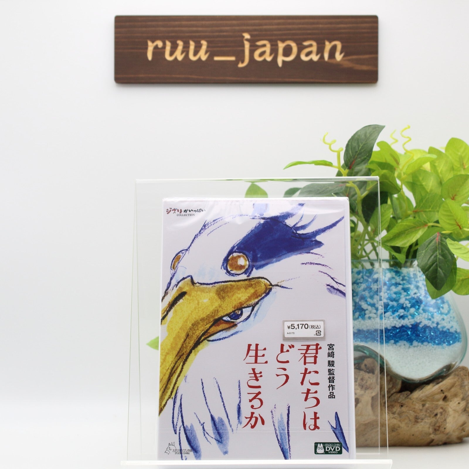 New The Boy and the Heron 2DVD Hayao Miyazaki Ghibli English Audio Subtitles