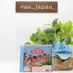 Red Velvet SAPPY First Limited Edition CD DVD Card Japan AVCK-79593 New