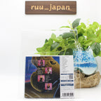 KUNI looking for action Japan Music CD bonus track New
