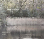 New FENNESZ-MAHLER REMIX-JAPAN CD