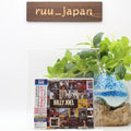 BILLY JOEL Japanese Single Collection -Greatest Hits- 2Blu-spec CD2+DVD NEW