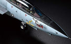 Tamiya 61118 1/48 Grumman F-14D Tomcat Plastic Model Airplane Kit New