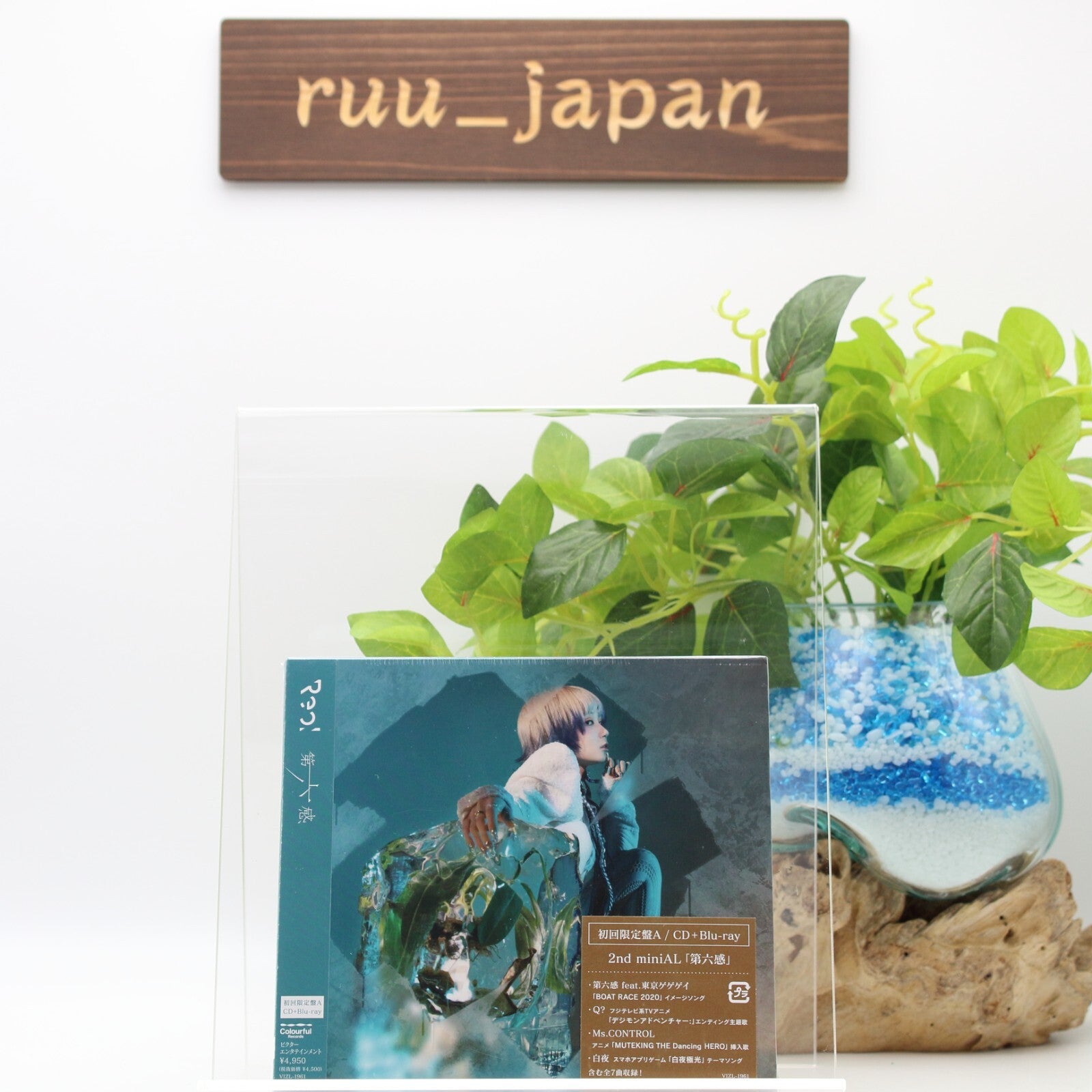 Reol Dairokkan First Limited Edition Type A CD Blu-ray Japan VIZL-1961 New