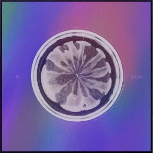 CD XG NEW DNA Limited X ver. CD w/ Photo Book CD-R Merchandise & Trading Card A