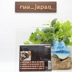 The Pillows-Happy Bivouac-Japan CD New